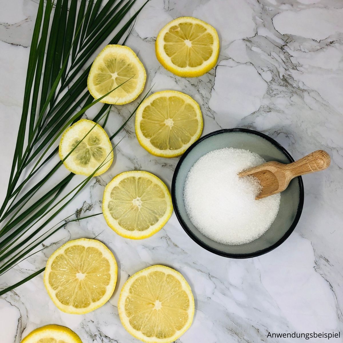 Schale mit Zitronensaeure und Holzloeffel_ dekoriert mit Zitronenscheiben
