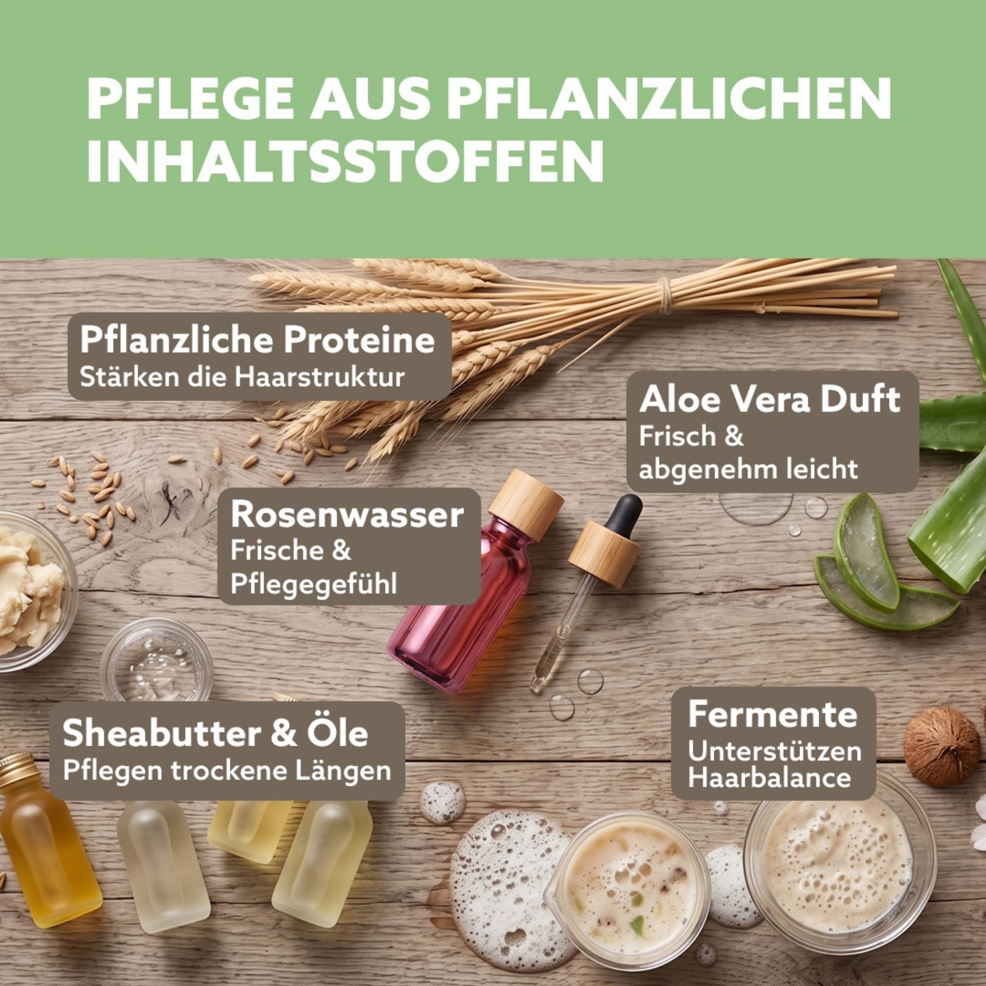 Pflanzliche Inhaltsstoffe wie Aloe Vera_ Rosenwasser und Sheabutter fuer Haarpflege dargestellt