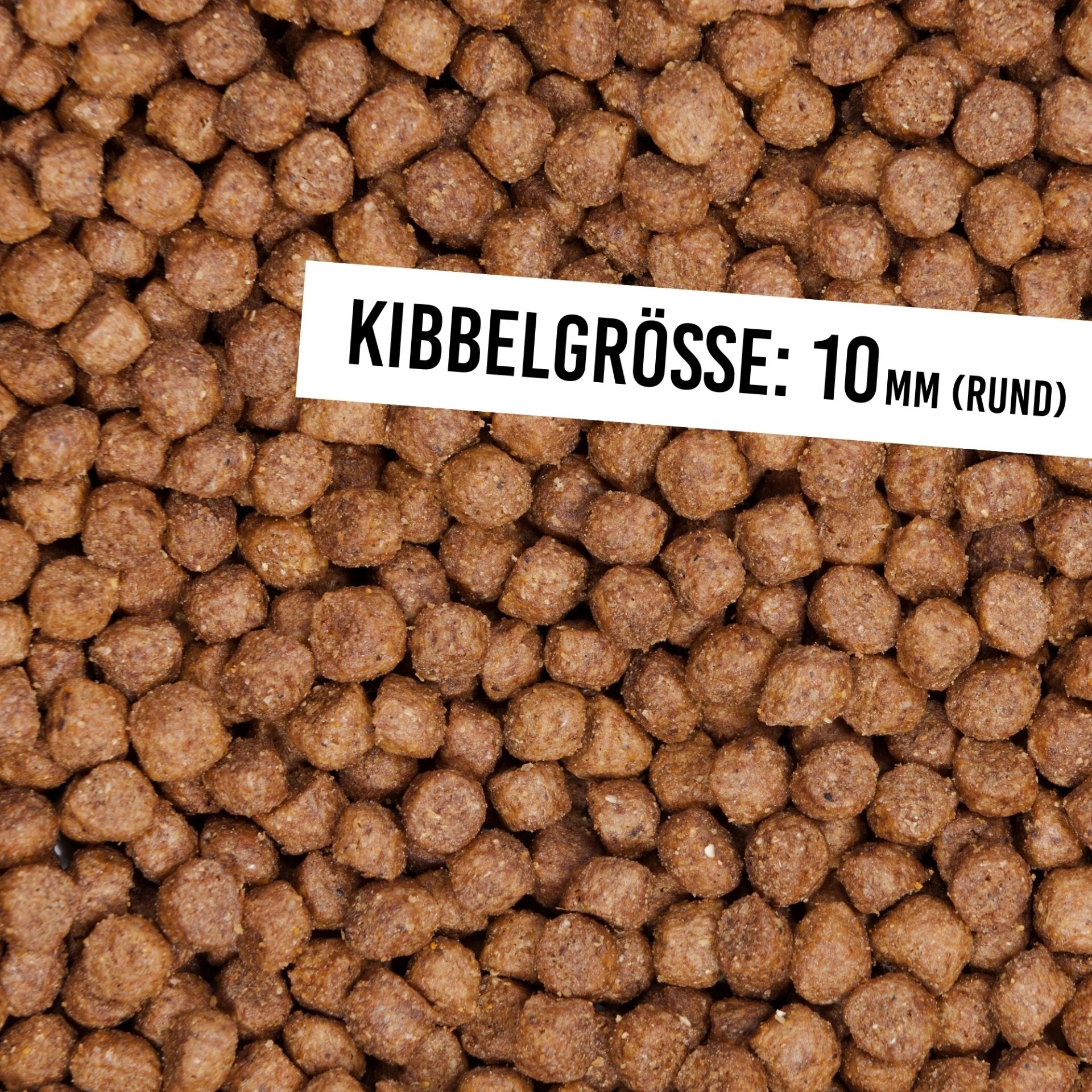 Nahaufnahme der Kroketten des Schnauzenkumpel Lammragout Welpe Trockenfutters mit 10 mm Kibbels