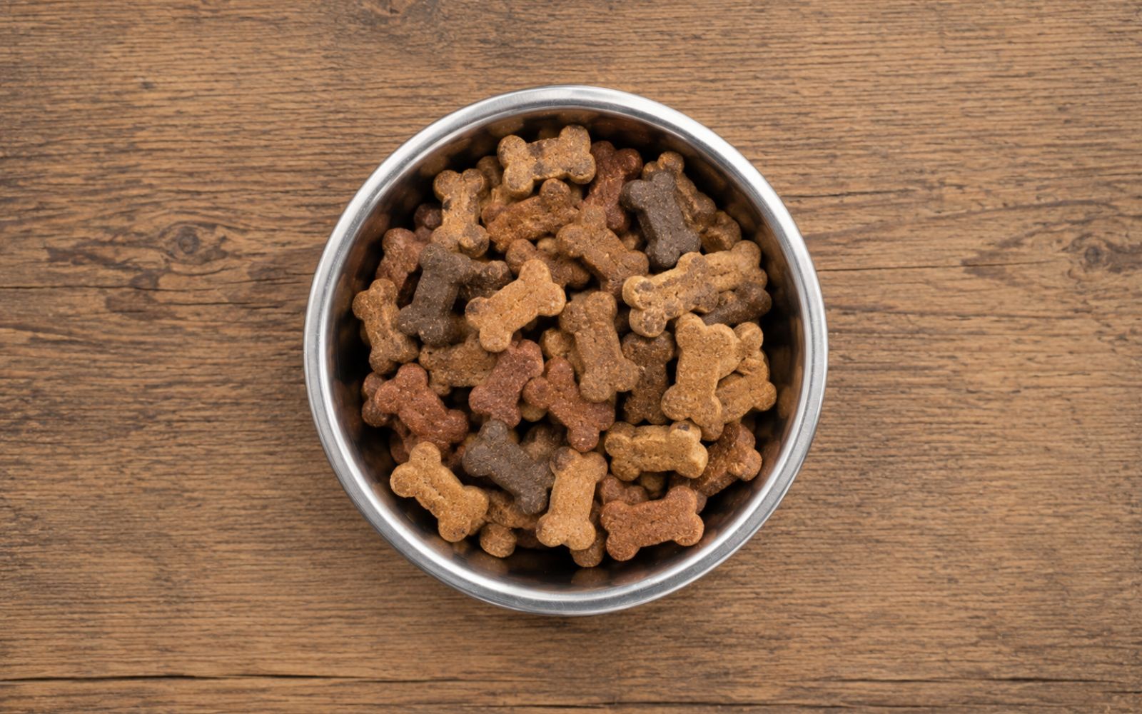 Hundesnacks und Leckerlis