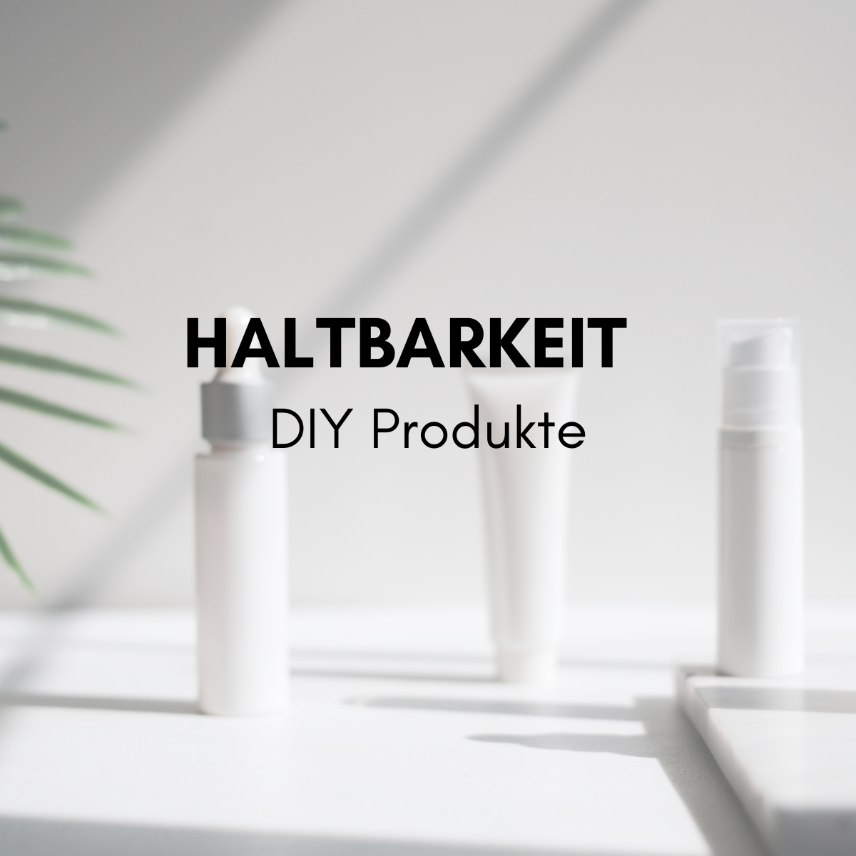 haltbarkeit-diy-produkte