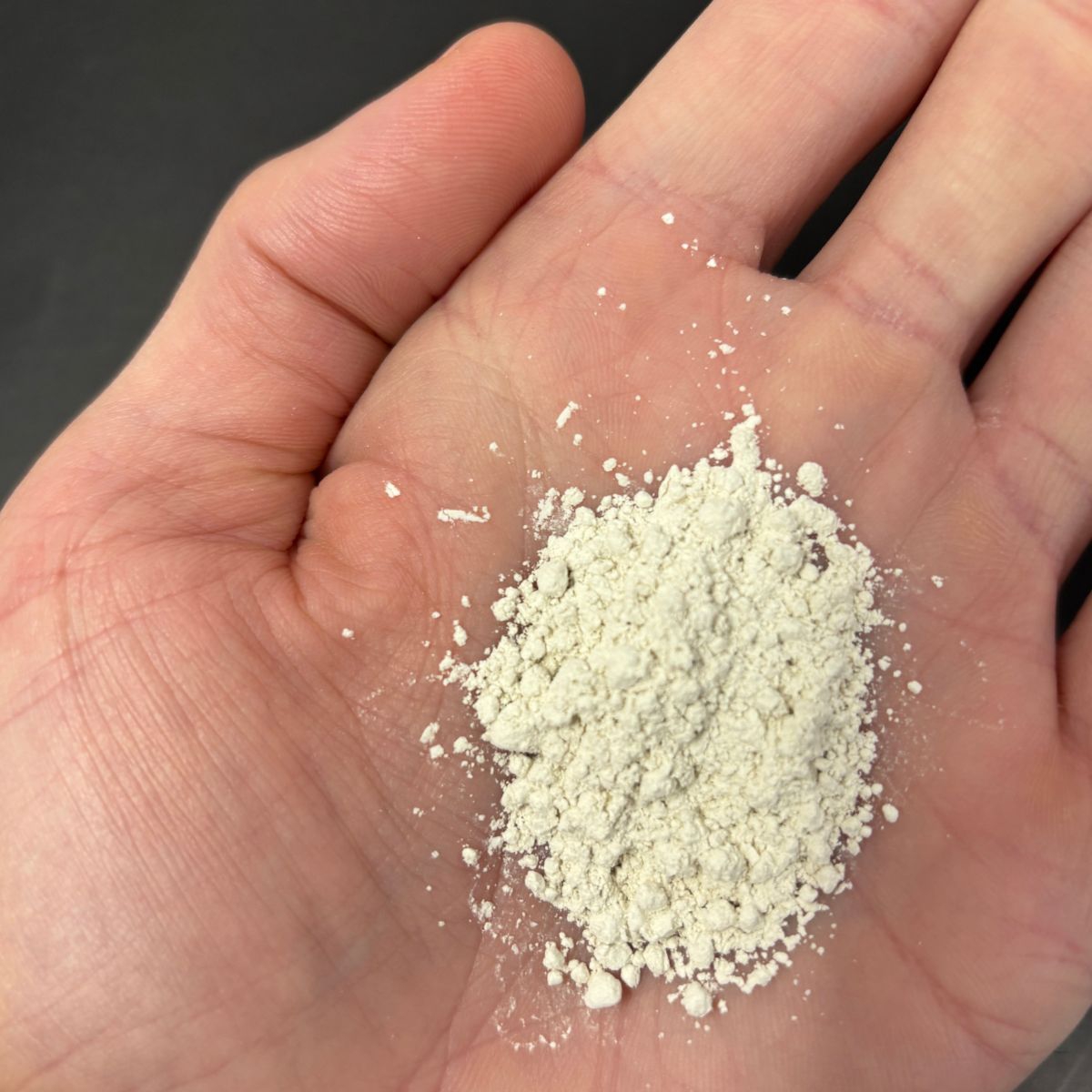 Weissliches Calciumsulfatpulver lose in einer geoeffneten Hand