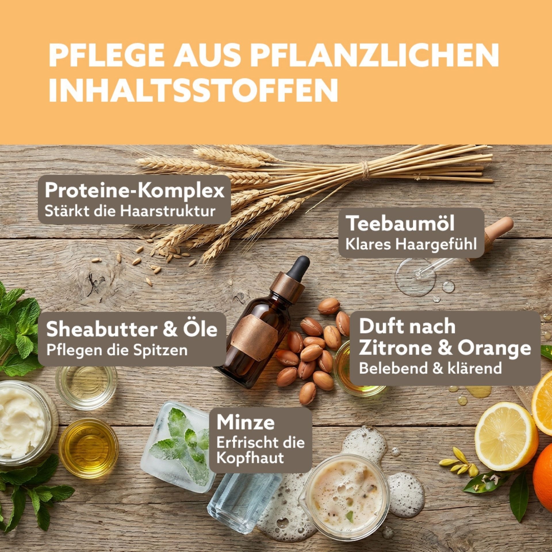 Pflanzliche Inhaltsstoffe wie Minze_ Sheabutter und Teebaumoel fuer Haarpflege dargestellt