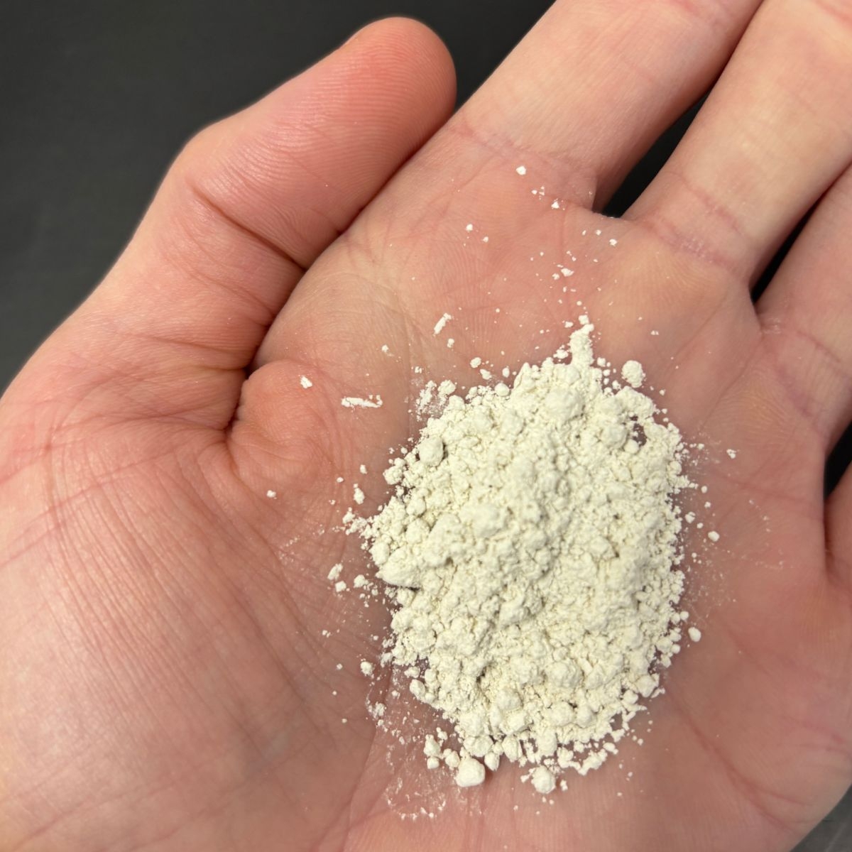 Weissliches Calciumsulfatpulver lose in einer geoeffneten Hand