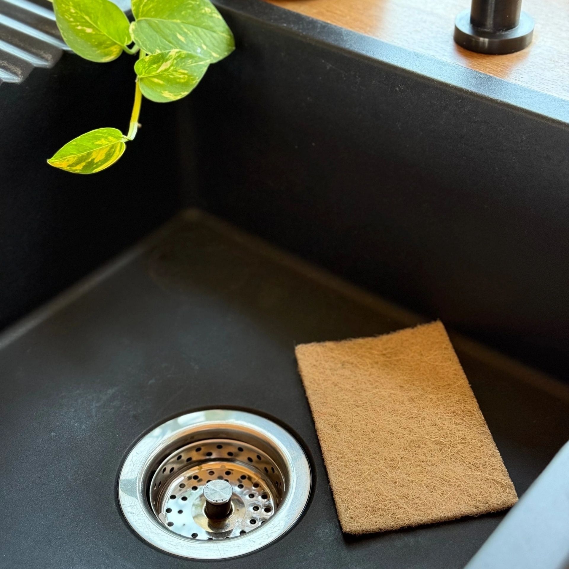 pandoo Sisal-Scheuerpad in einer schwarzen Kuechenspuele neben dem Abfluss