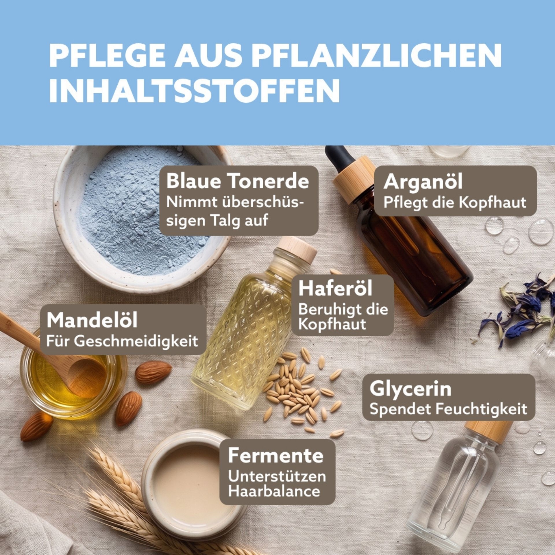 Natuerliche Inhaltsstoffe wie Mandeloel_ Arganoel und Tonerde fuer Kopfhautpflege dargestellt