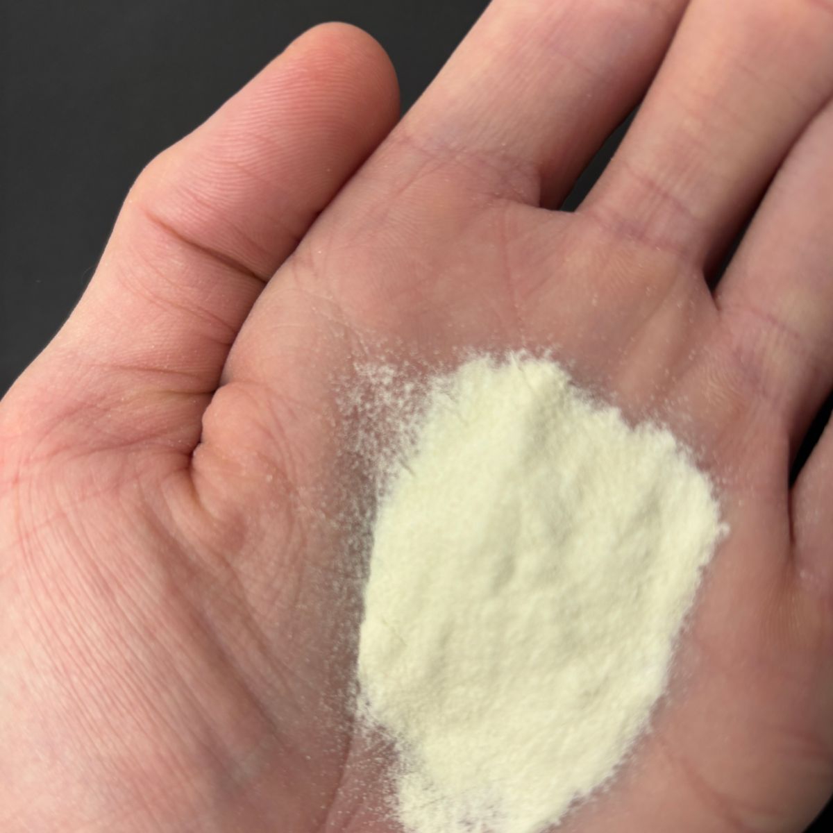 Xanthan Gum Pulver in einer Hand von oben fotografiert